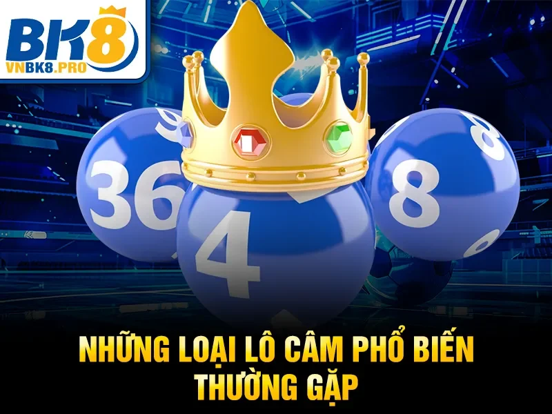 Lô Câm Là Gì – Cách Chơi Và Kinh Nghiệm Chuẩn 2026 3 Những loại lô câm phổ biến thường gặp